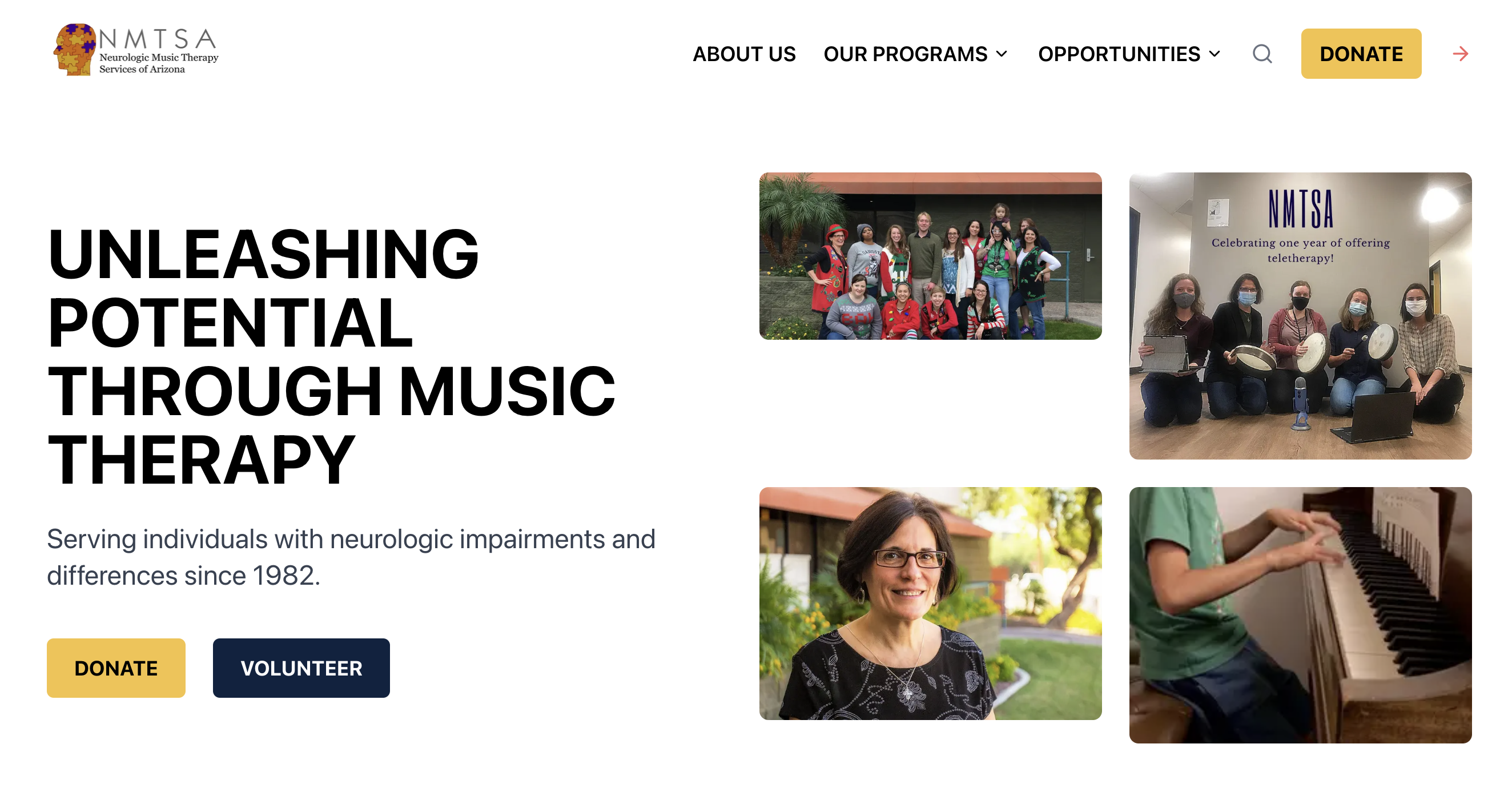 NMTSA's Website - Image 1